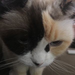 Meet your Posher, Stacy